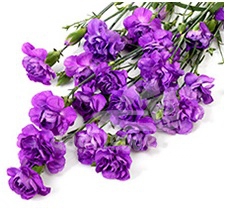 moonberry*